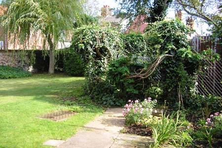 Willow Cottage Garden